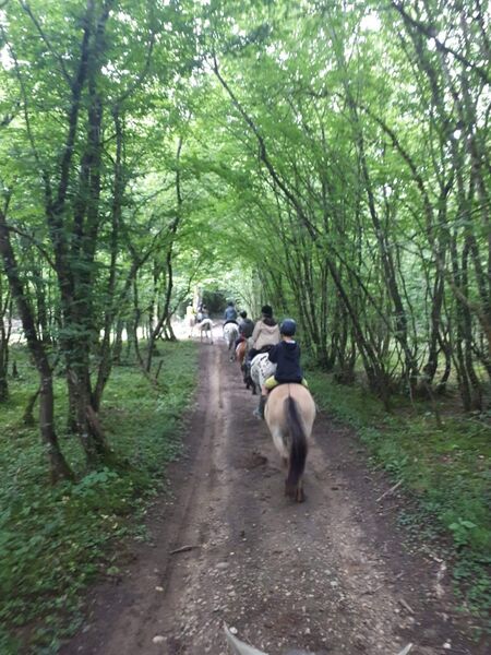 Randonnée équestre