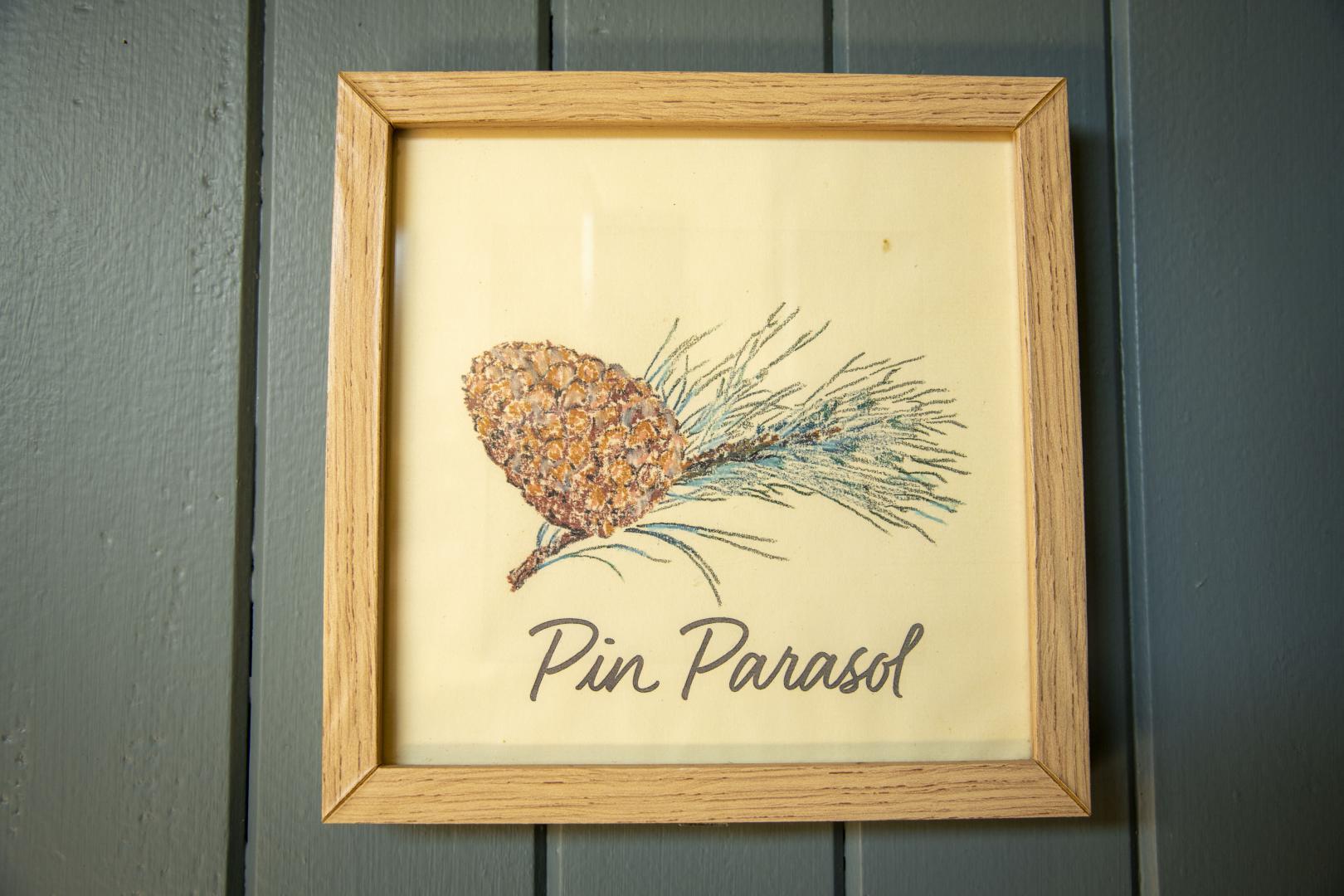 Pin Parasol, Jouques - photo 23