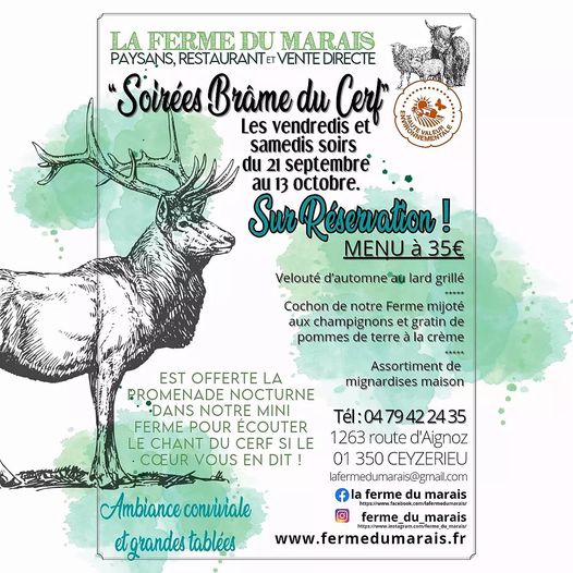 Soirées "Brâme du Cerf" à La Ferme du Marais