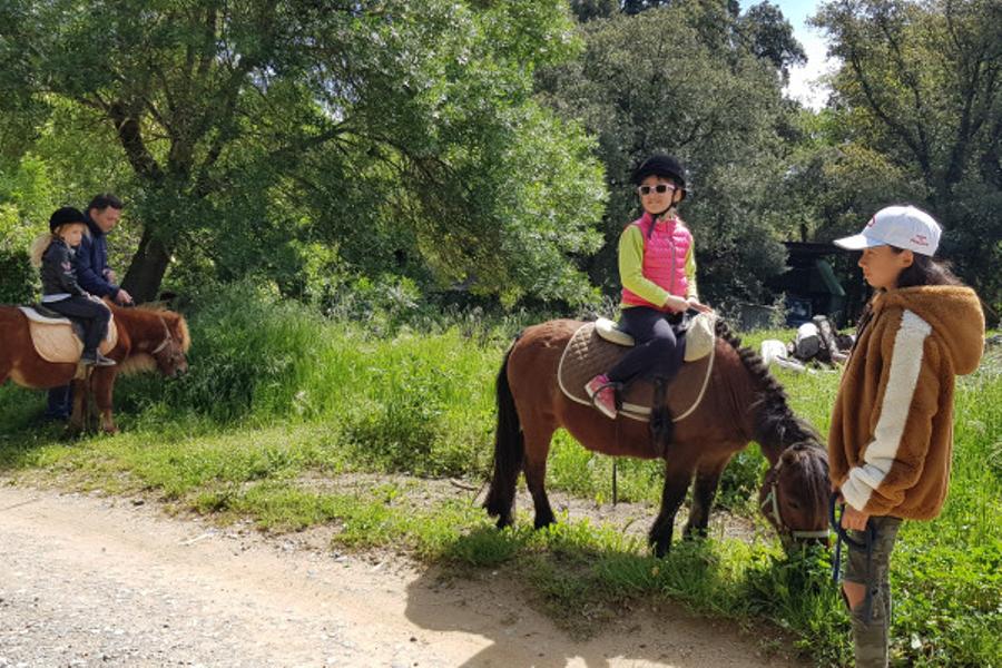 Balade encadrée à poney