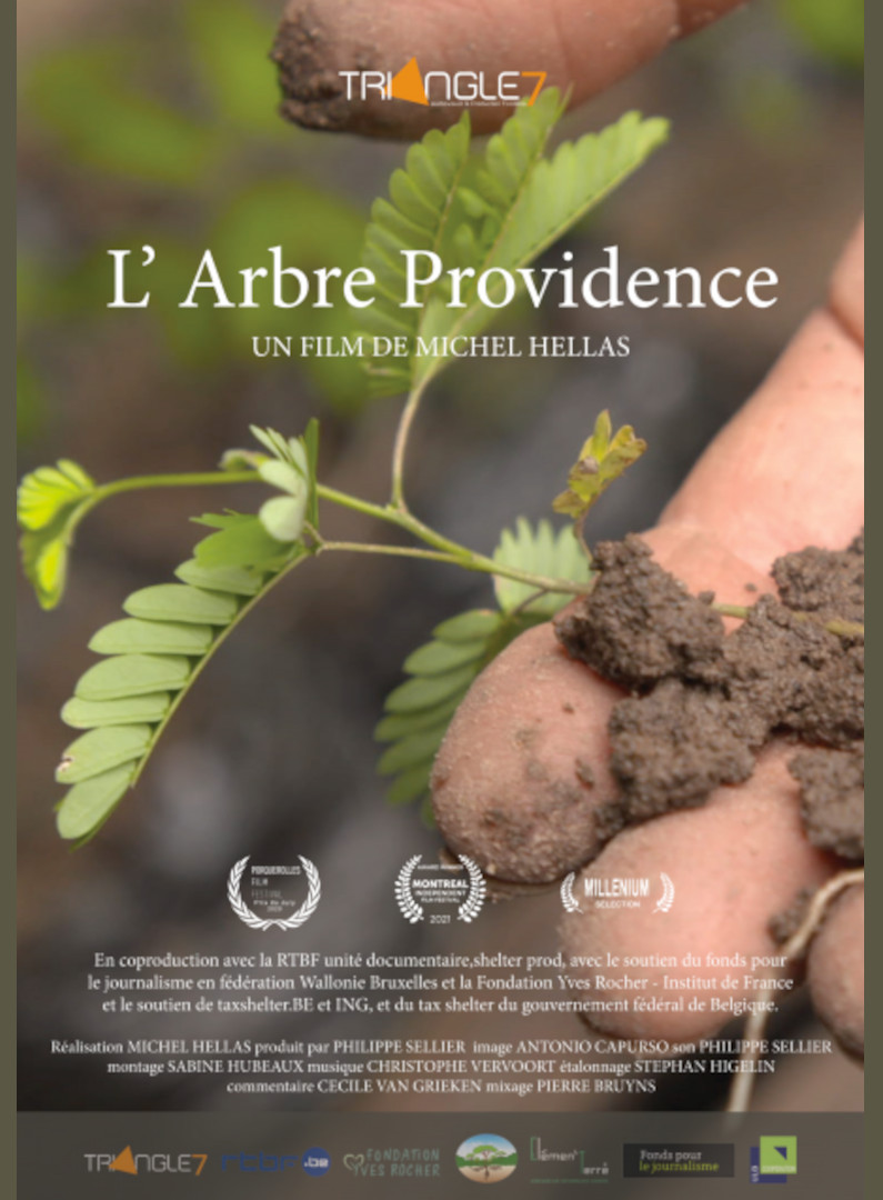Rendez-vous futés ! : Projection cinéma du film L'Arbre Providence | ciné-débat