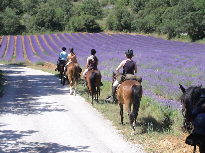 Horse riding school le Mazet