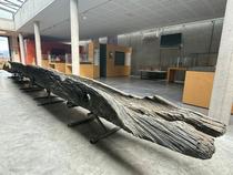 Visite flash : Quand Augustum rencontre l’eau_Aoste