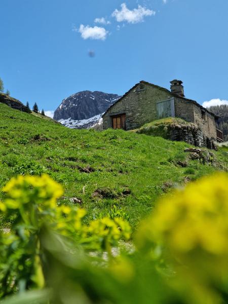 Circuit de randonnée : Nazonde_Sainte-Foy-Tarentaise