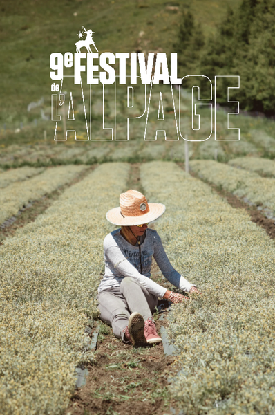 Festival de l'Alpage : Visite d'une culture de Génépi de Guillaumette_Orcières