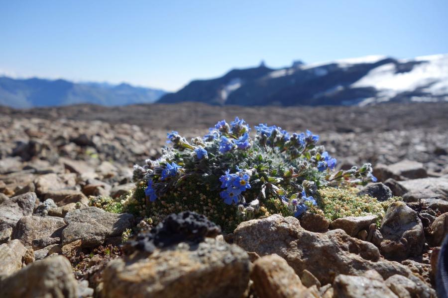 091044_HD - © Cédric Dentant, Parc national des Ecrins.