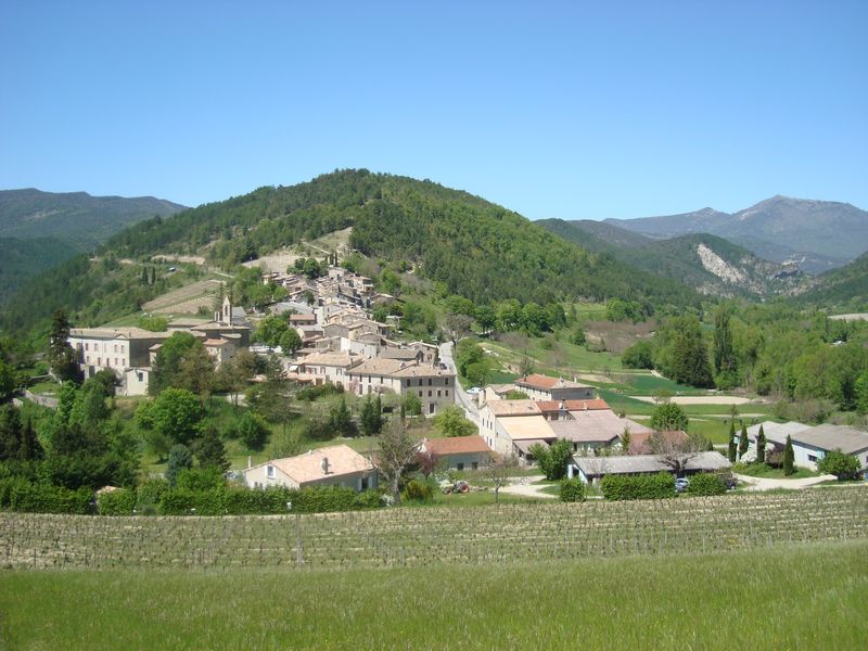 Vignoble et village