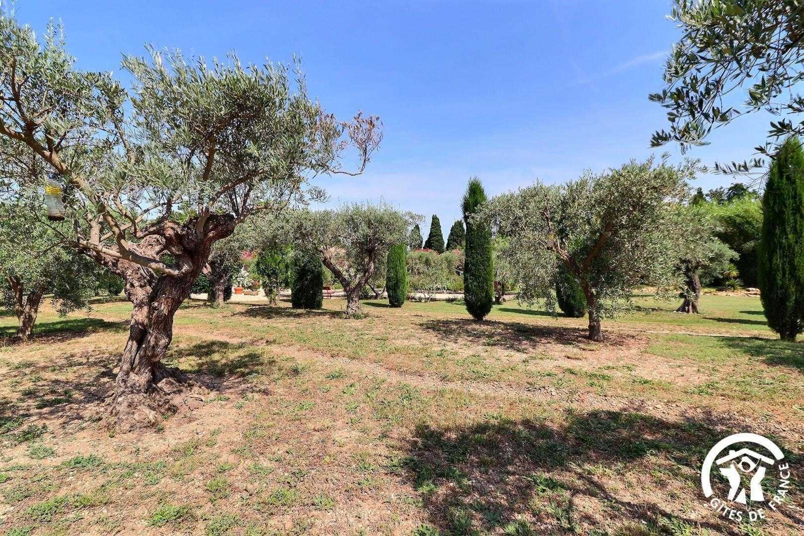 Le Tournesol, Saint-Rémy-de-Provence - photo 26