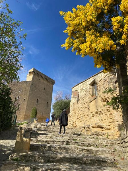 Châteauneuf-du-Pape