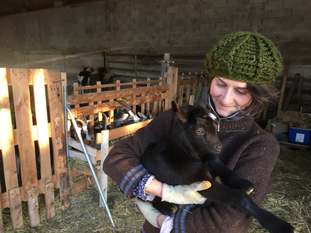 Les Pieds dans le Local® ! Visite d'exploitation : la Ferme des P'tits Bleuets