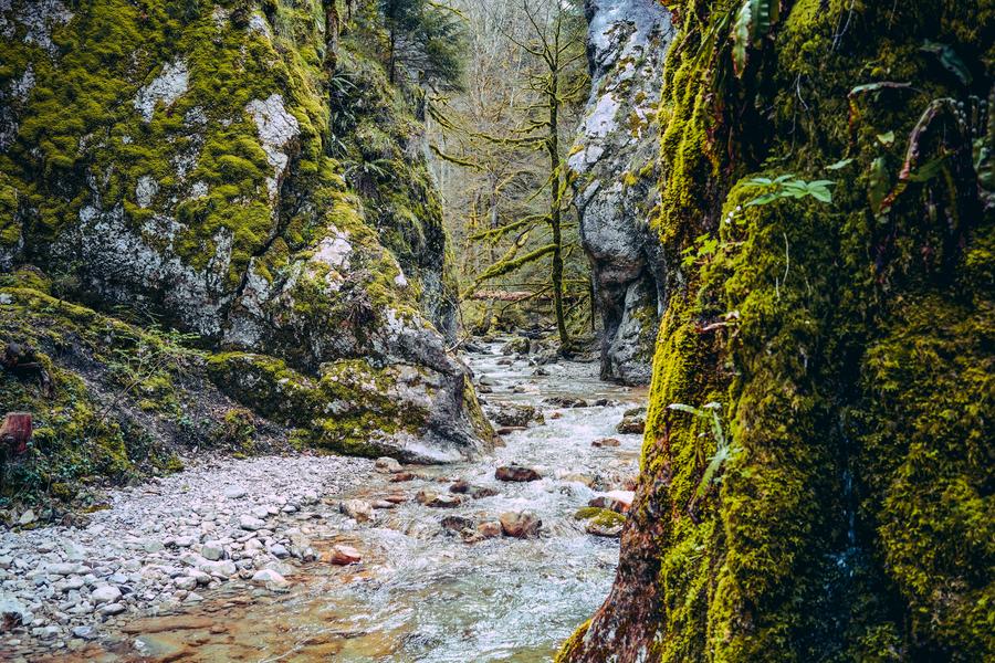 Randonnée pédestre : le Creux de l'Envers_Gex