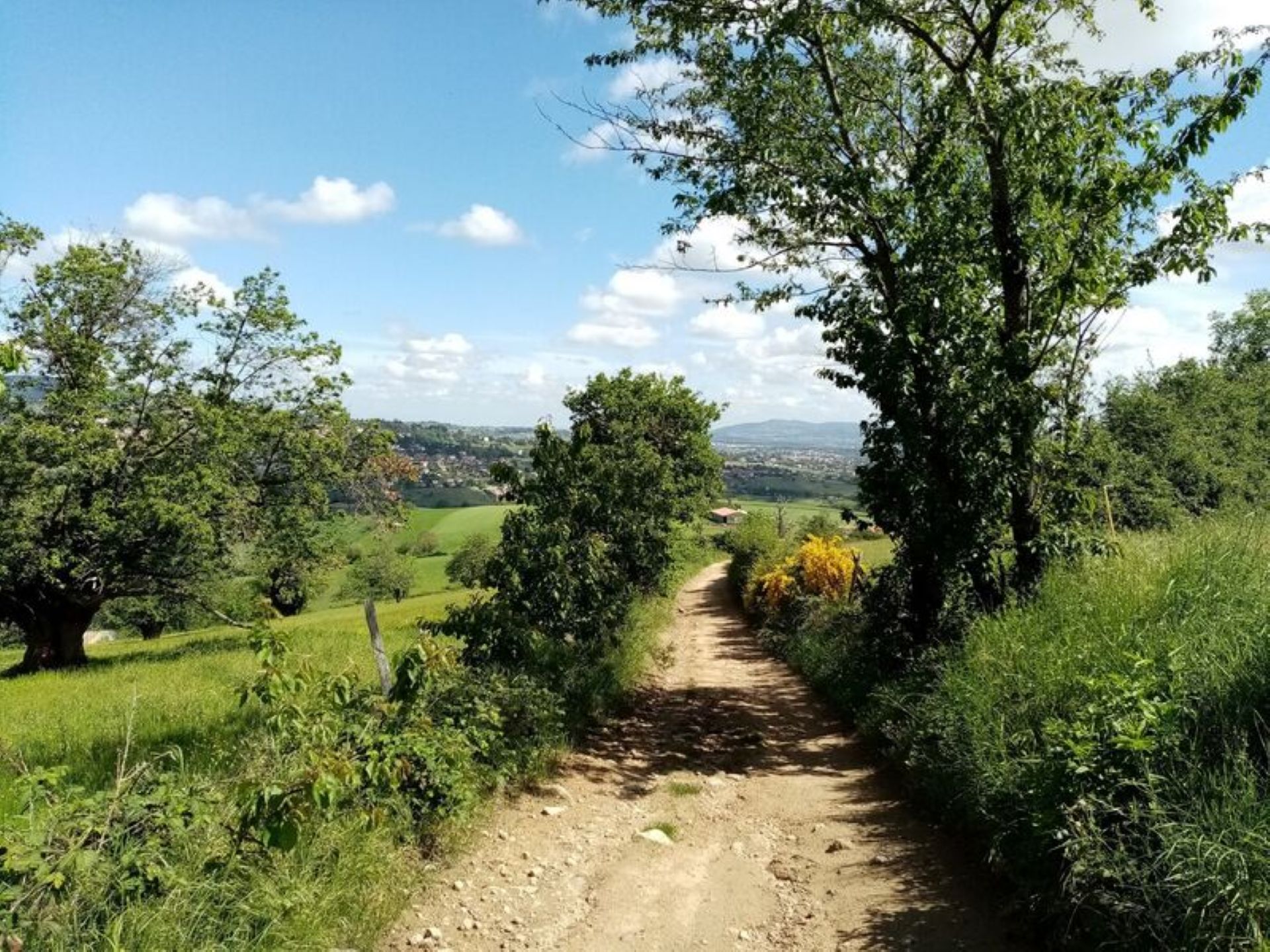 Chemin