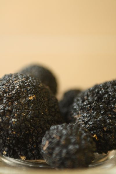 De la truffière à l'assiette en compagnie d'un Chef authentique