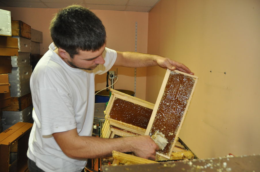 Doussard Apiculteur producteur de miel