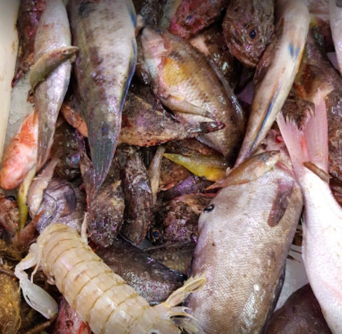 La criée de Martigues