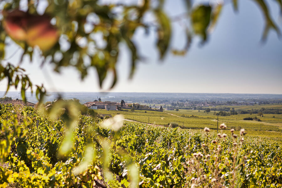 Château des Jacques à Romanèche-Thorins