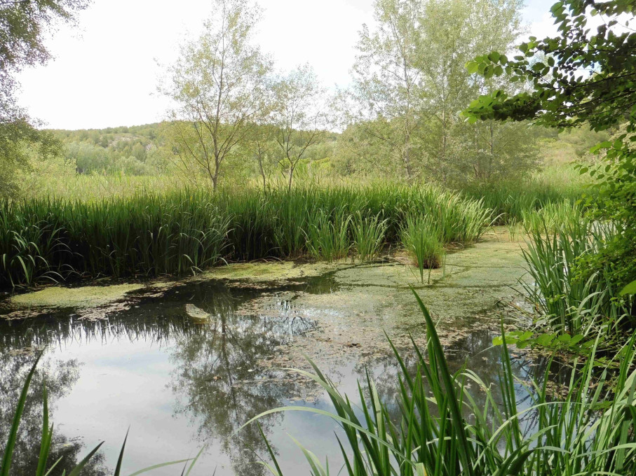 Mer et Colline - Valestoué