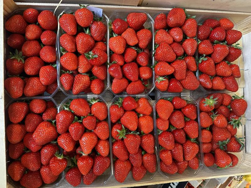 Archi'Frais - producteur - Saint-Chef - Balcons du Dauphiné