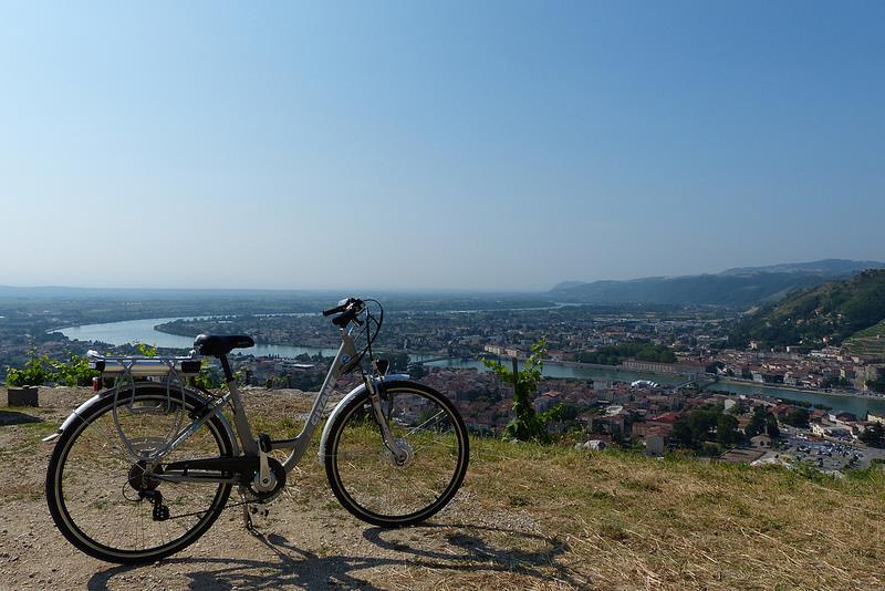 Vélo électrique dansles vignes
