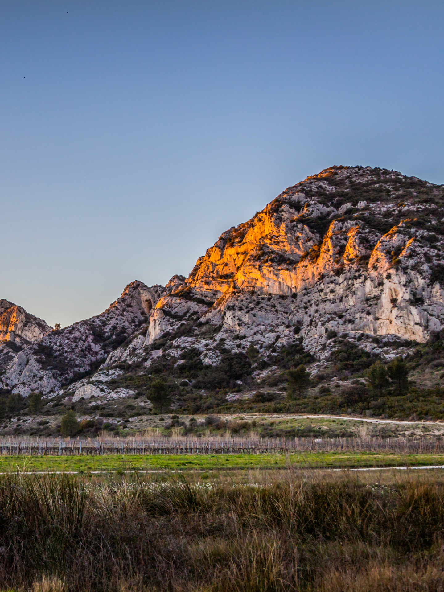 Les crêtes de Saint-Rémy-de-Provence - photo 4