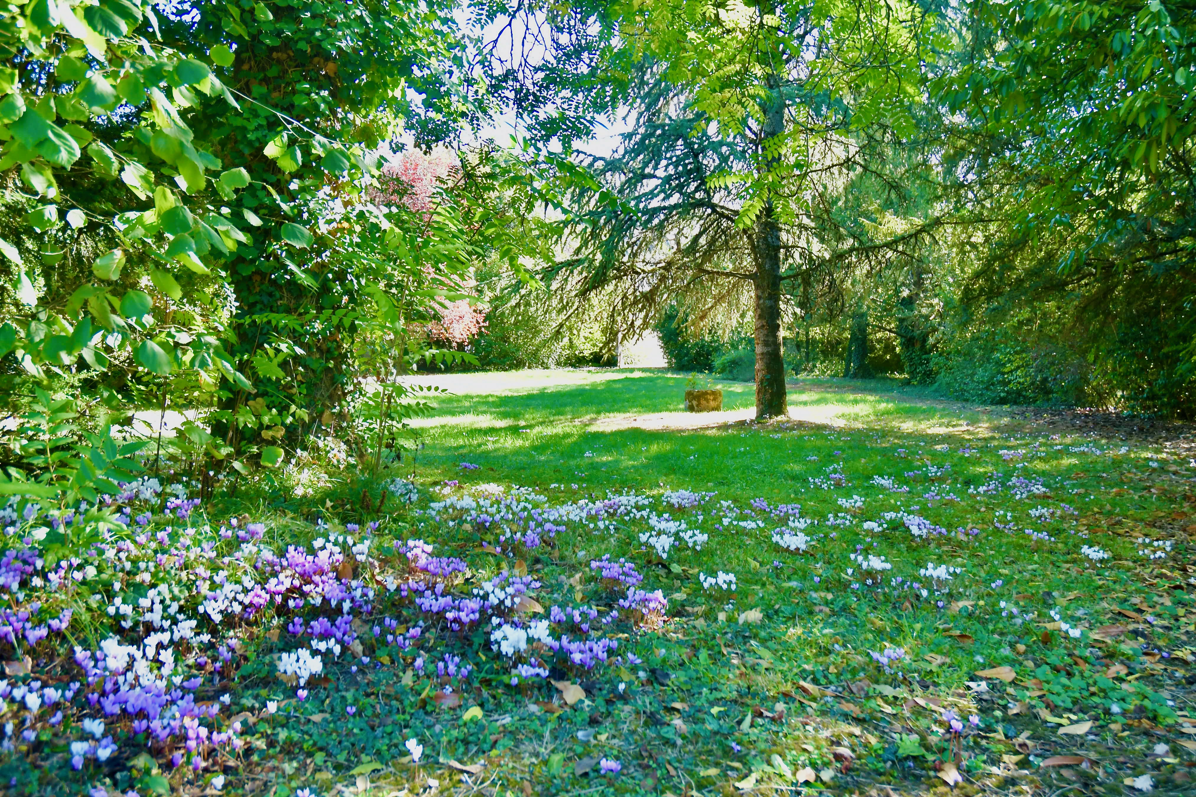 La Demeure de Ruffec_Ruffec