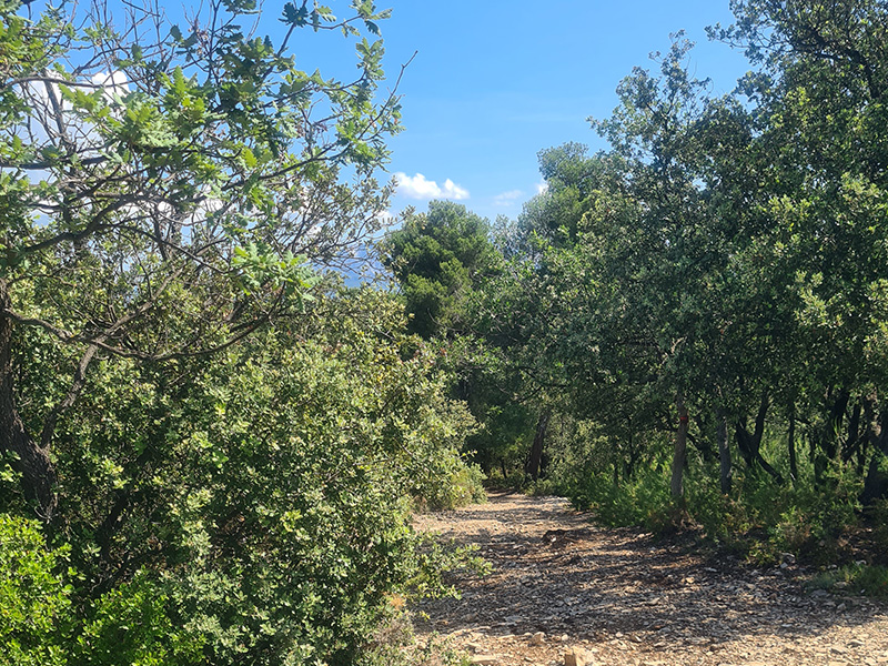 Circuit des Crêtes, Gardanne - photo 3