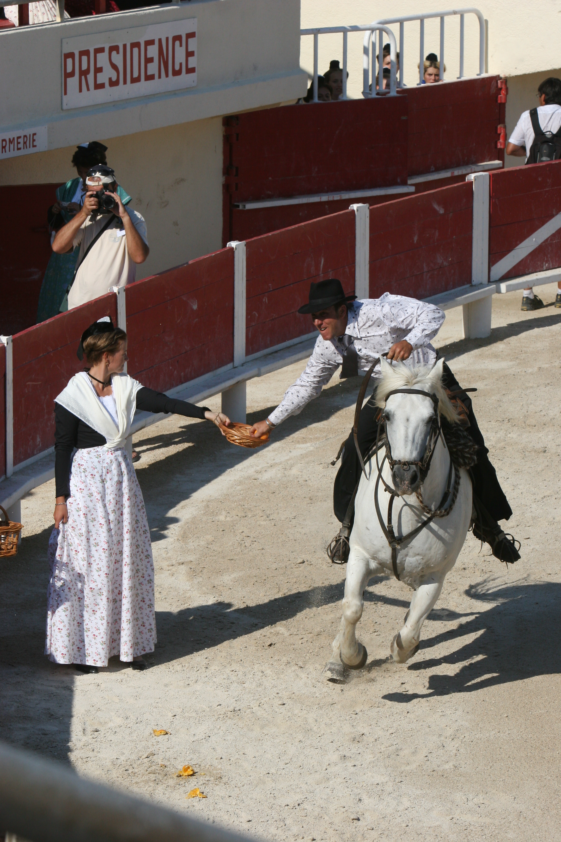 Spectacle Equestre Camarguais