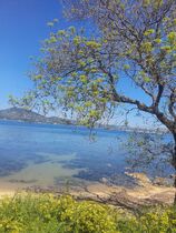 Plage Gassin