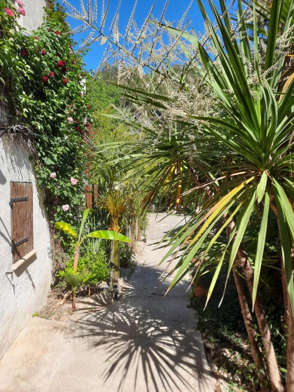 La Palmeraie, Istres - photo 6