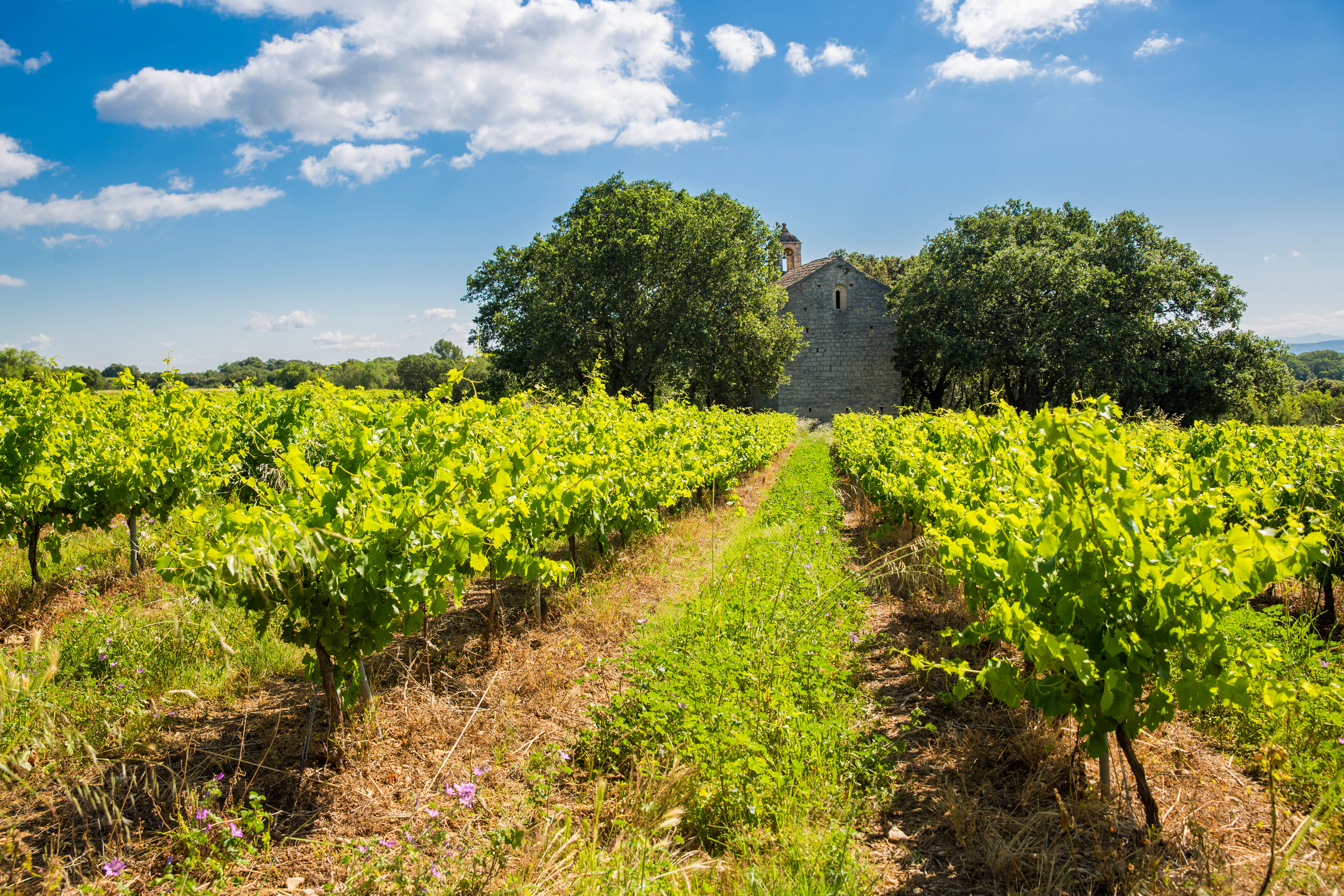 Chapelle-Trignan-St-Marcel-d'Ardèche-Cotes du Rhone St Andéol- Ardèche-©Marina Geray (2)