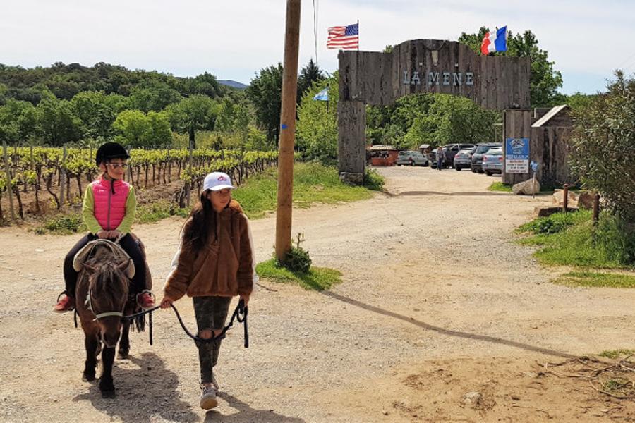 Balade encadrée à poney