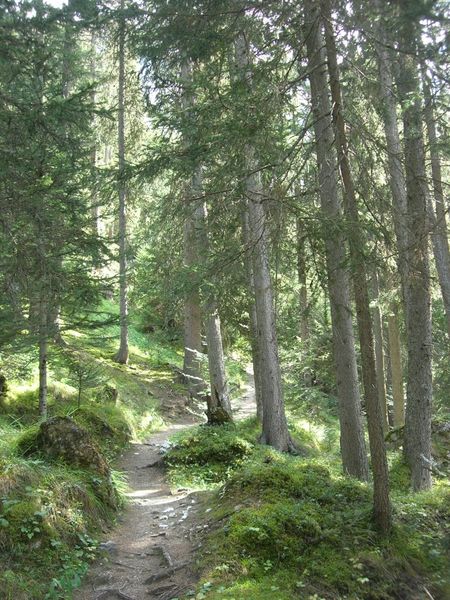 Promenade confort Torrent et lac de la Rosière