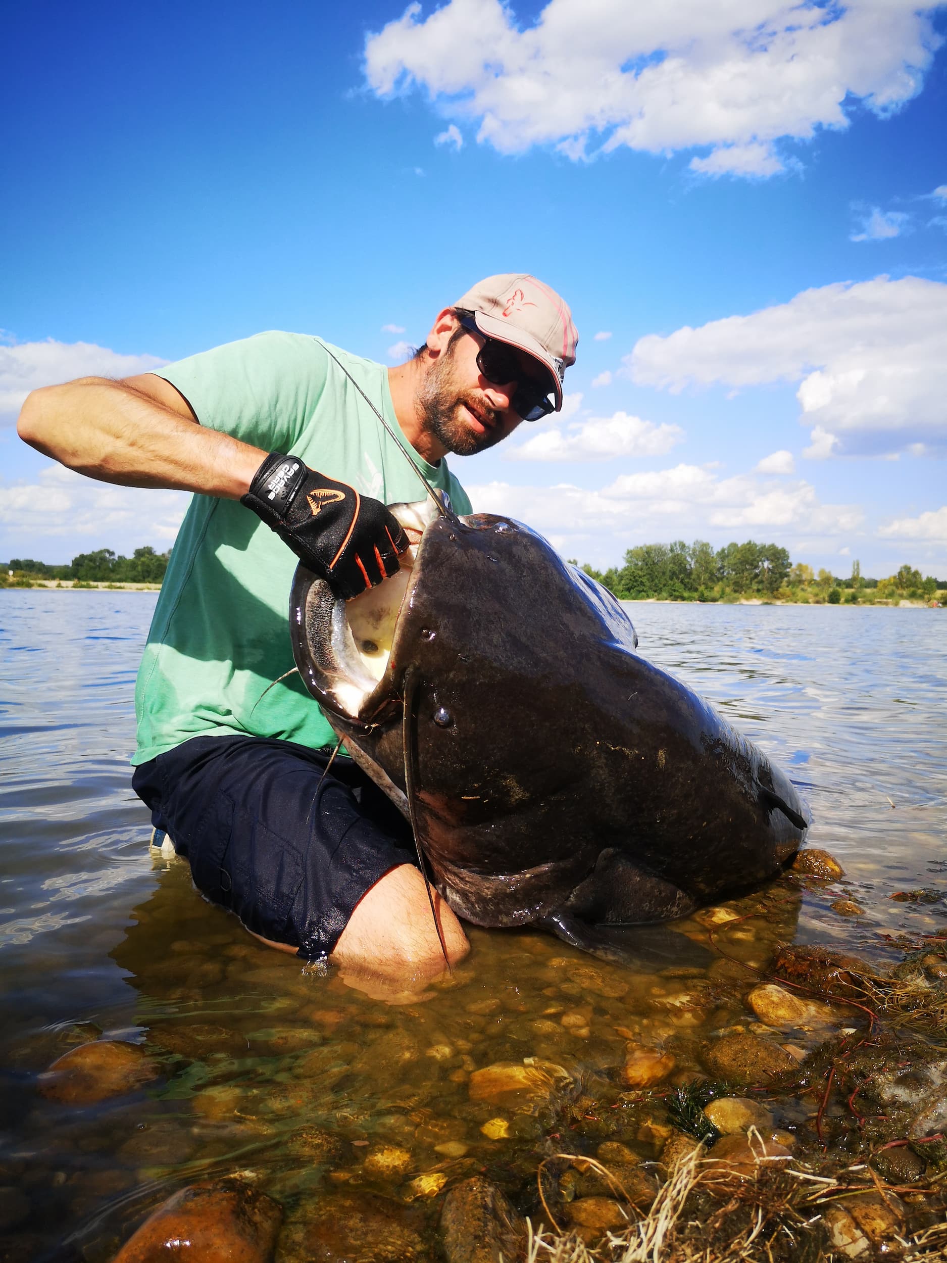 gros silure de saône capturé aux leurres