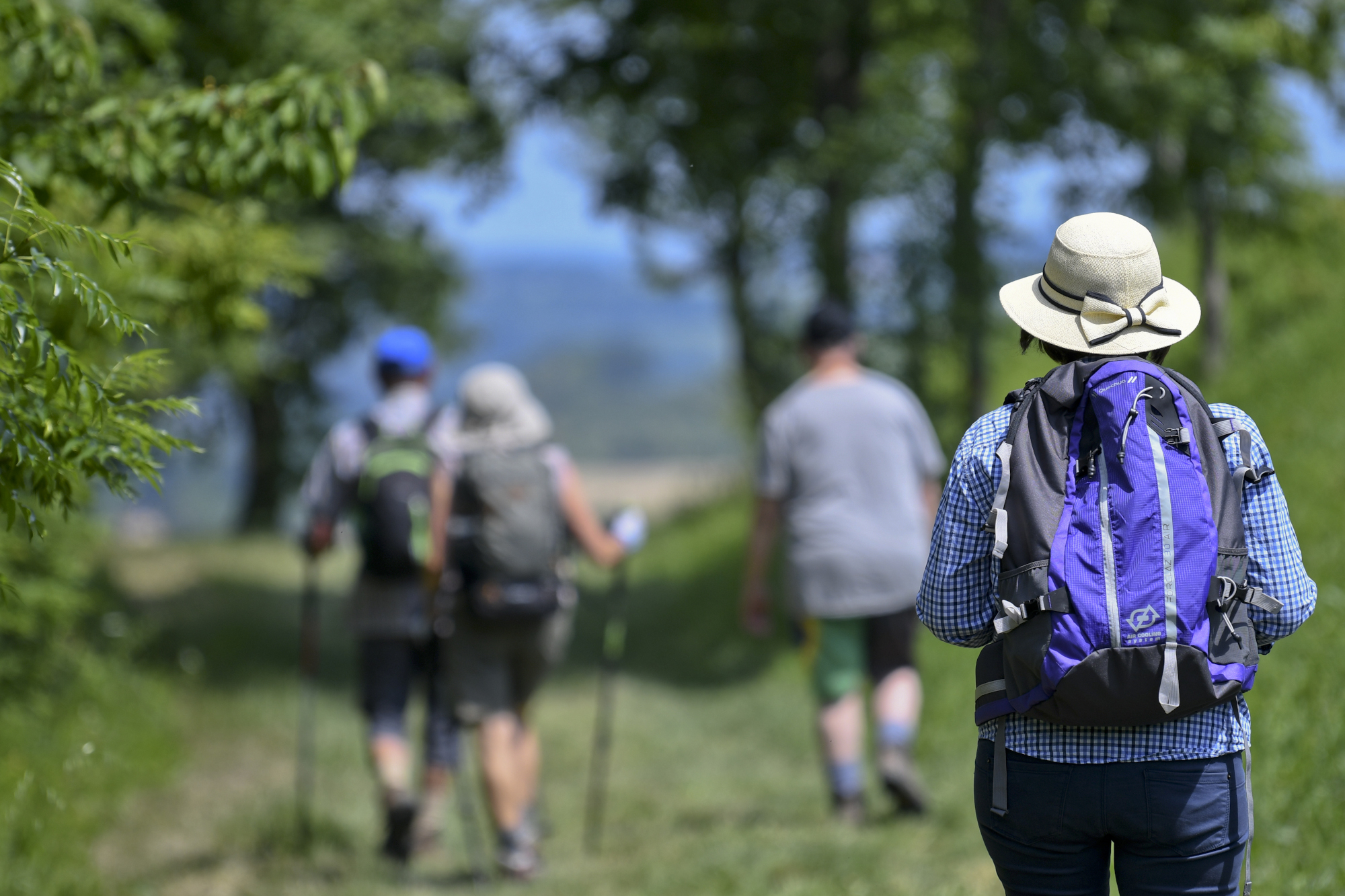Les canaux, la meyerie