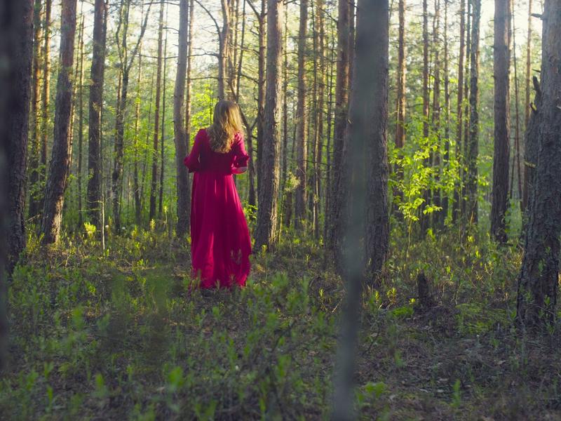 Stage R'éveil de l'Ame Sauvage_Saint-Barthélemy-Lestra