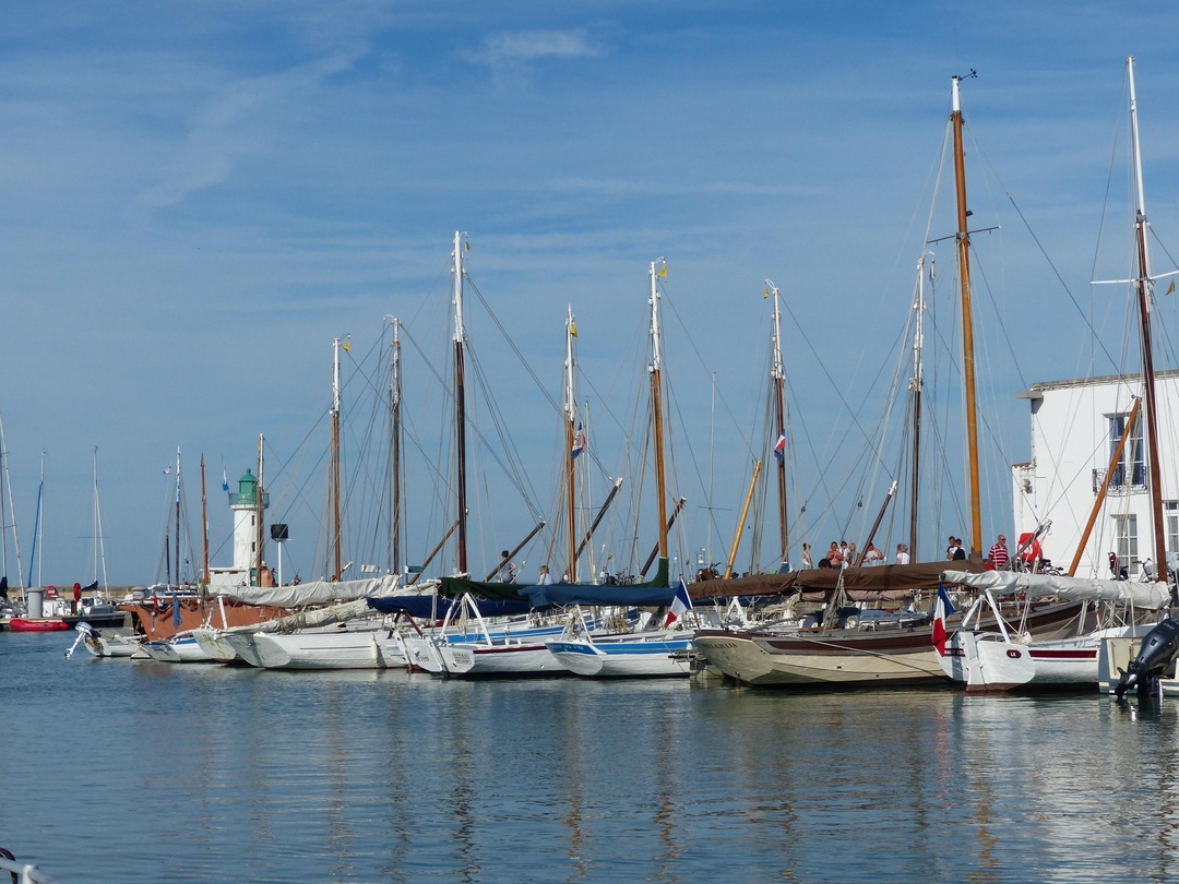 Visite guidée - le port de La Flotte