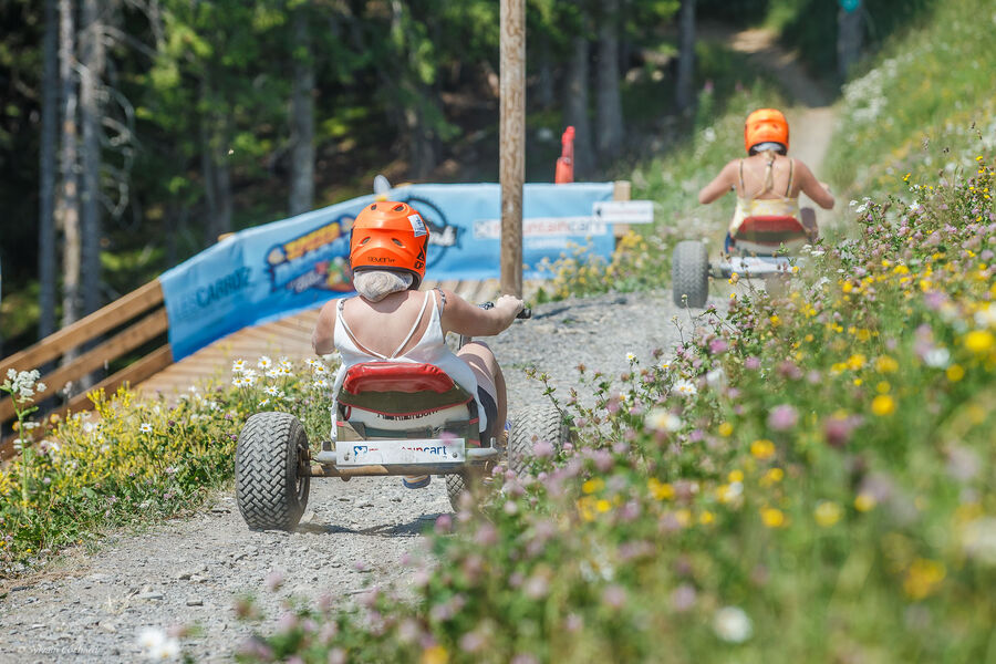 Mountaincart Les Carroz