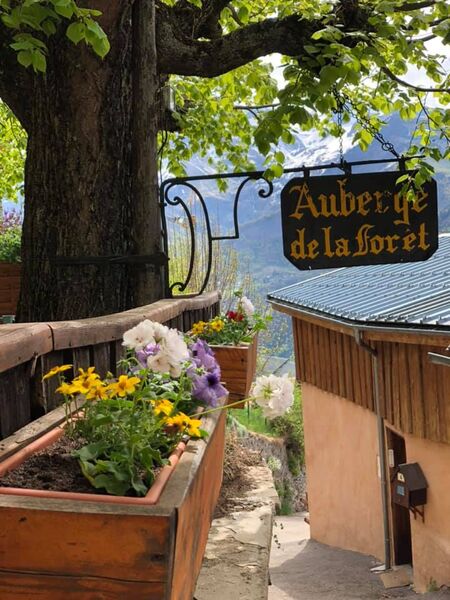 Visuel auberge de la foret hotel