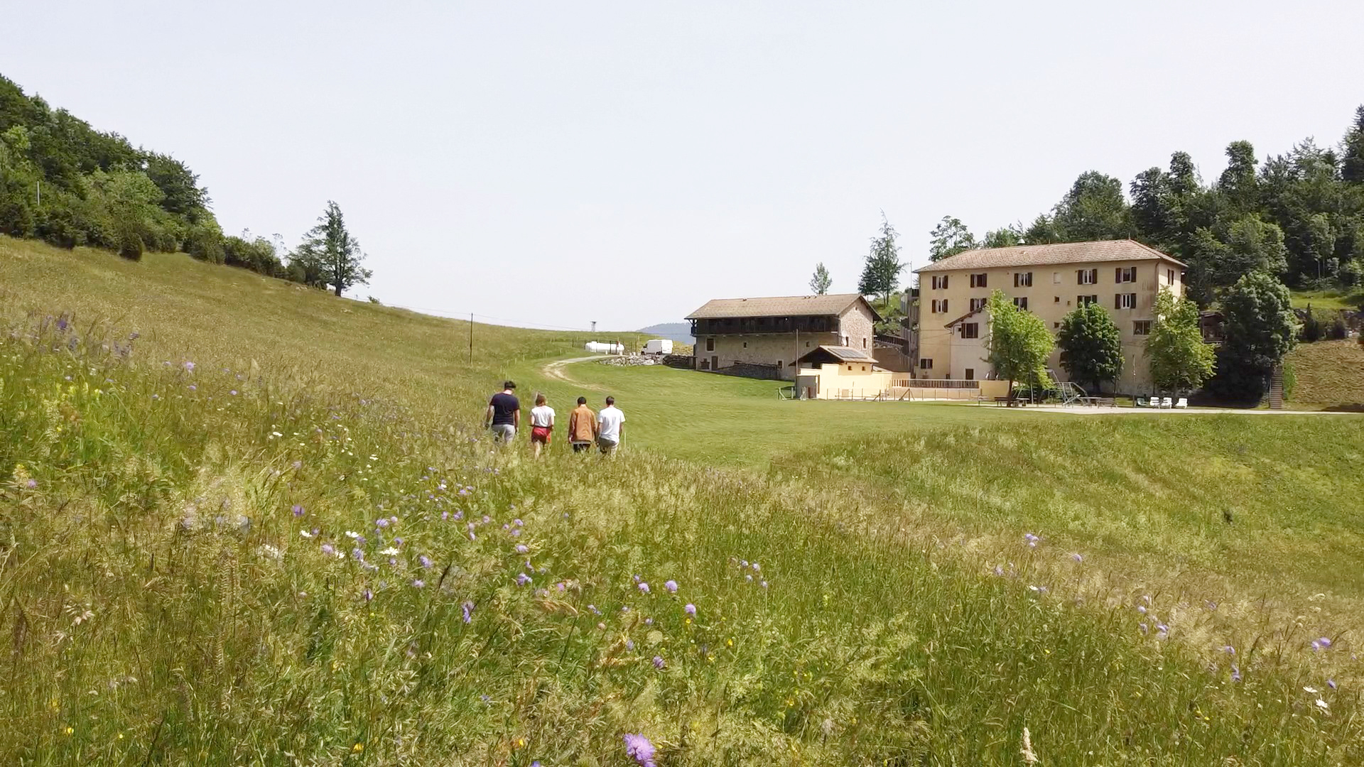 Une vue de l'auberge, Hostel Quartier Libre, depuis la prairie fleurie