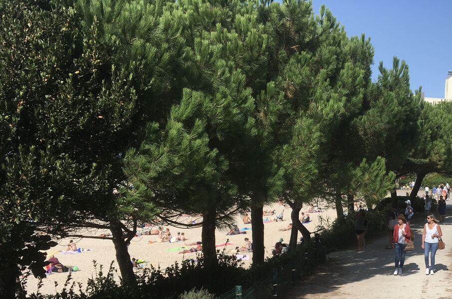Arrivée à la plage