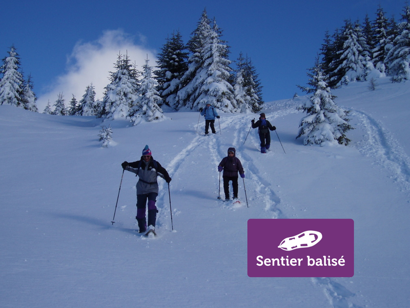 Les Glaciers - Randonnée hivernale_Mont-Saxonnex