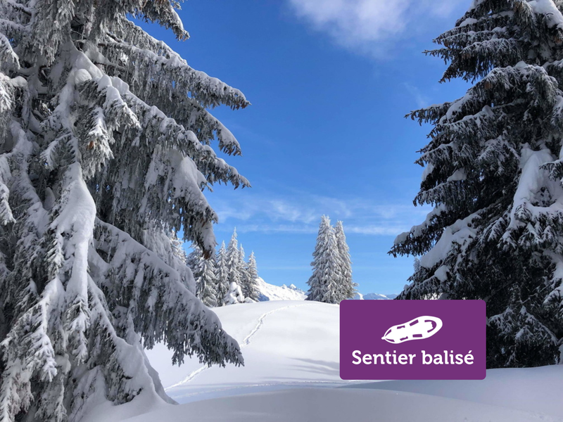 Fimaloz (Agy) - Randonnée hivernale_Saint-Sigismond