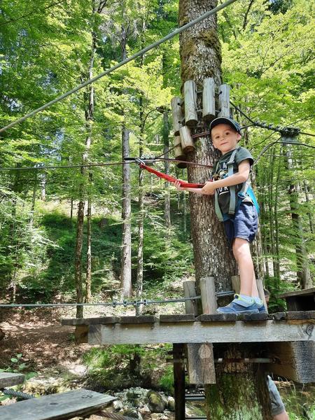 Sécurisé en ligne de vie continue