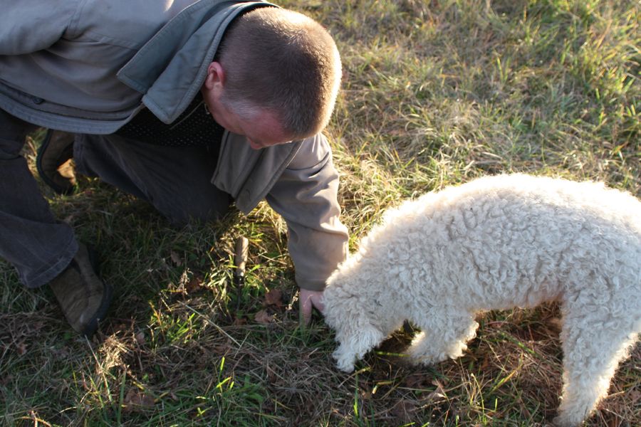 De la truffière à l'assiette en compagnie d'un Chef authentique
