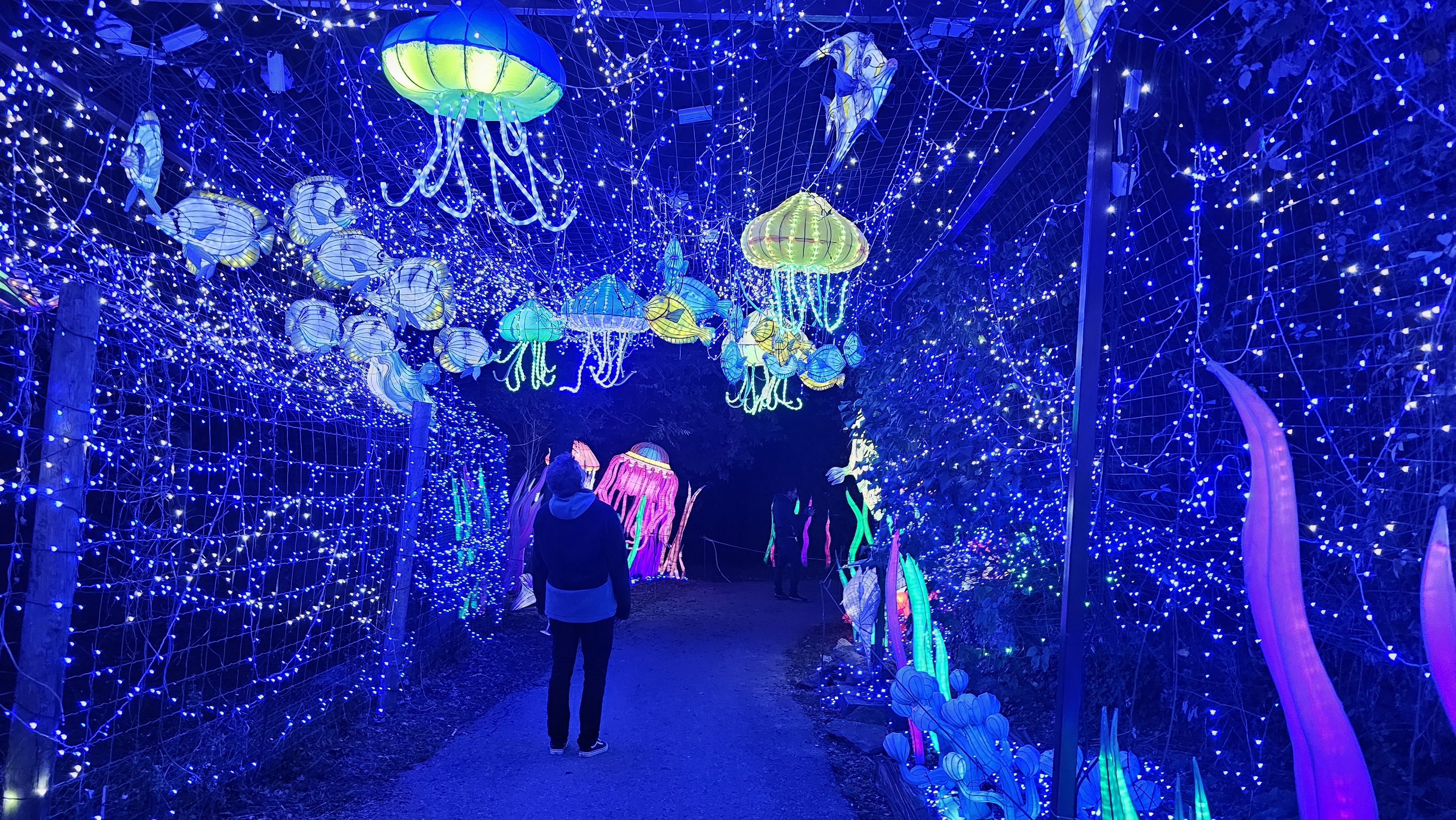 6ème Festival Lumières Sauvages_Peaugres