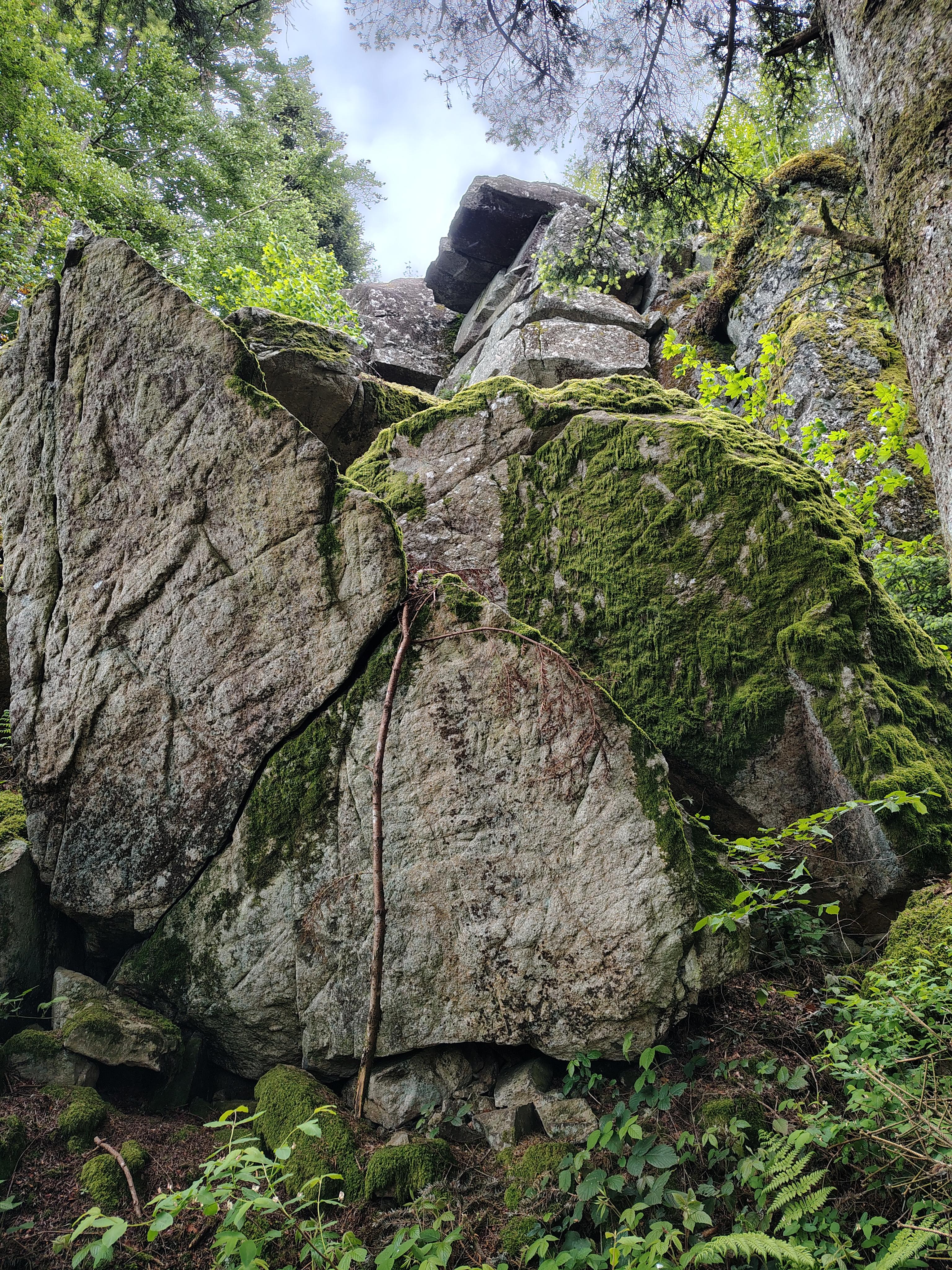 Balade des Roches Mystérieuses dans le massif de la roche d'Ajoux