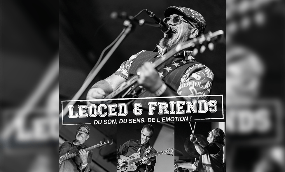 leoced-friends
