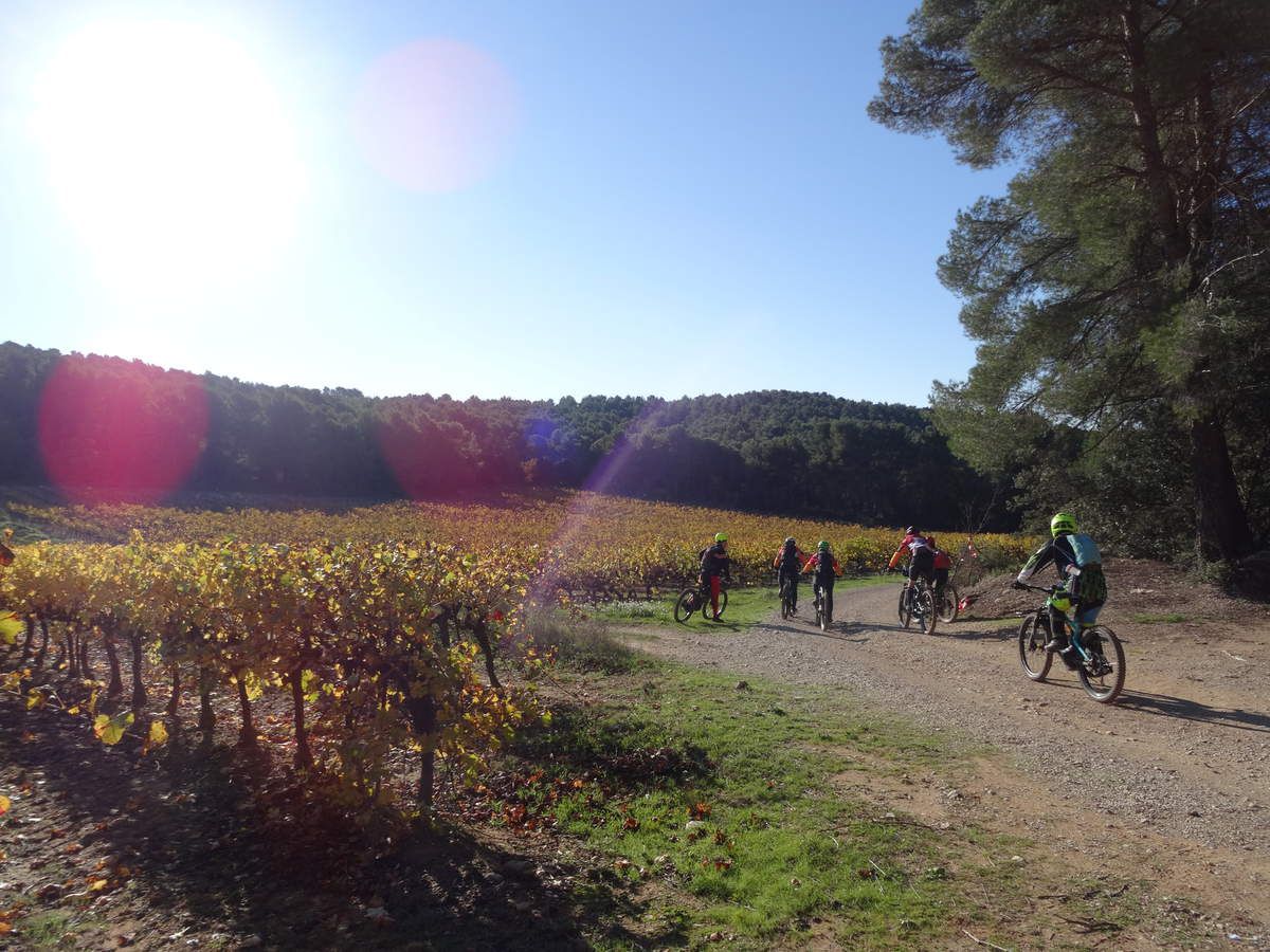 VTT n°30 - Entre vignes et oliviers