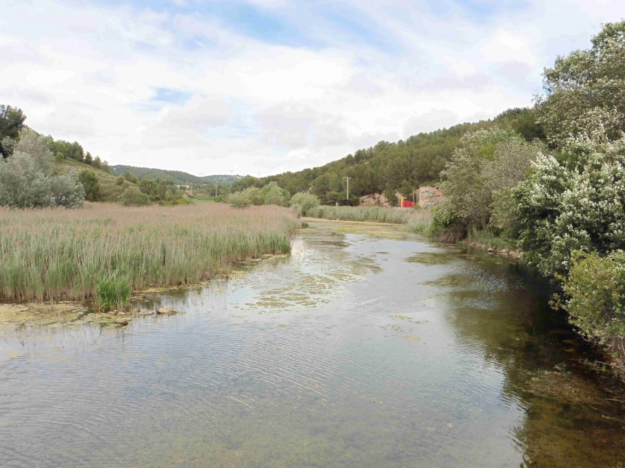 Mer et Colline - Valestoué, Sausset-les-Pins - photo 2