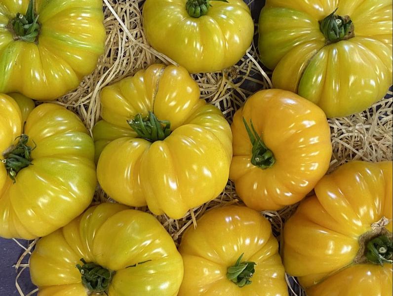 Archi'Frais - producteur - Saint-Chef - Balcons du Dauphiné